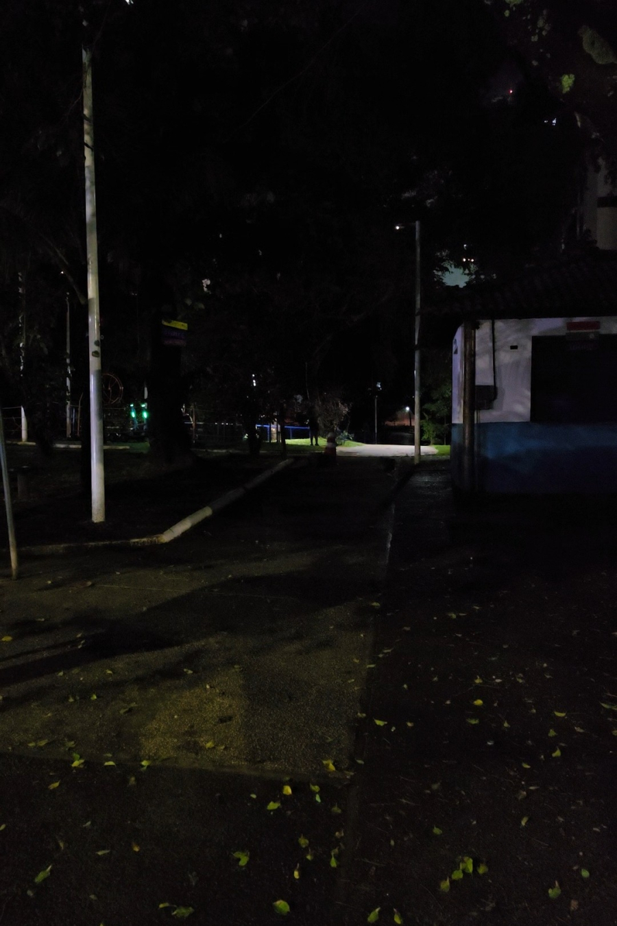 'Parece filme de terror': iluminação com defeito na Lagoa dos Patos preocupa frequentadores